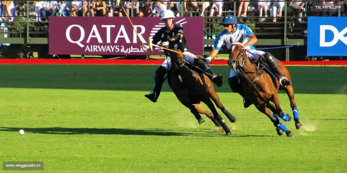 贝博体彩app官方入口✨心怀热爱，永不停歇！你的运动梦想，从这里启航～